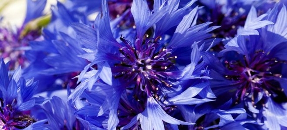 Optometrist examination